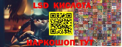 индика Лесосибирск