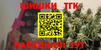 индика Лесосибирск