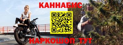 индика Лесосибирск