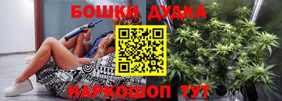 индика Лесосибирск