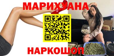 индика Лесосибирск