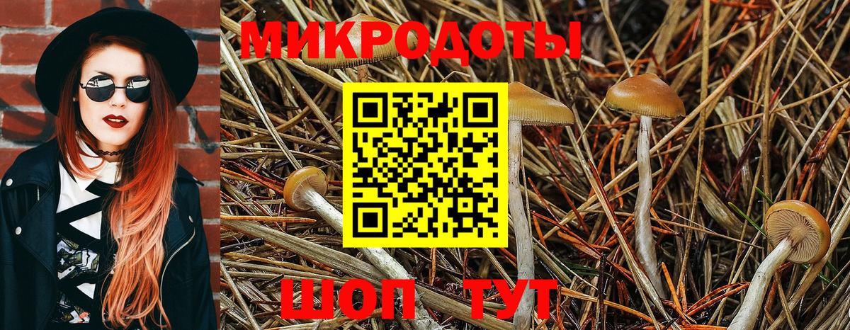Псилоцибиновые грибы MAGIC MUSHROOMS  Вход с VPN  купить наркоту  Гудермес 